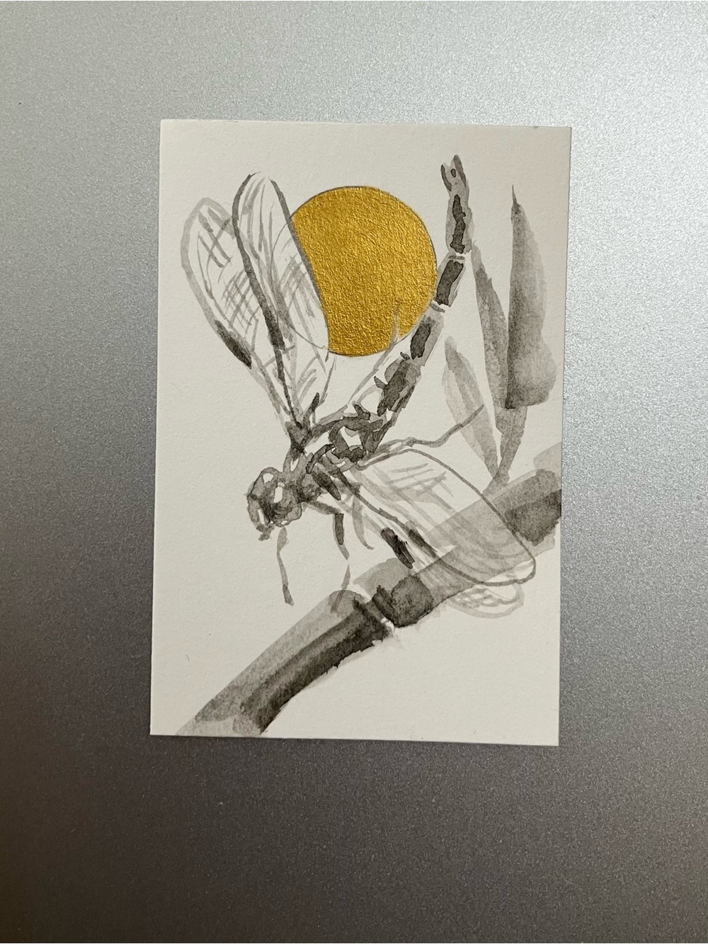 Original dragonfly painting miniature realism art sumi-e style ink artwork USA